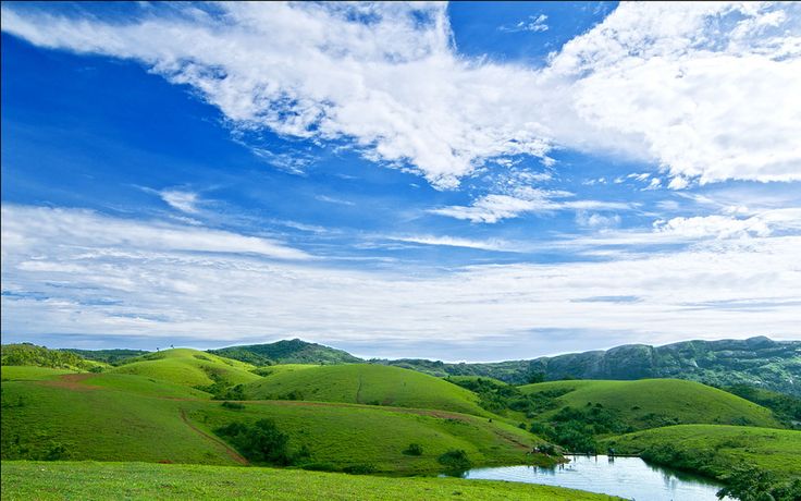 Vagamon Meadows